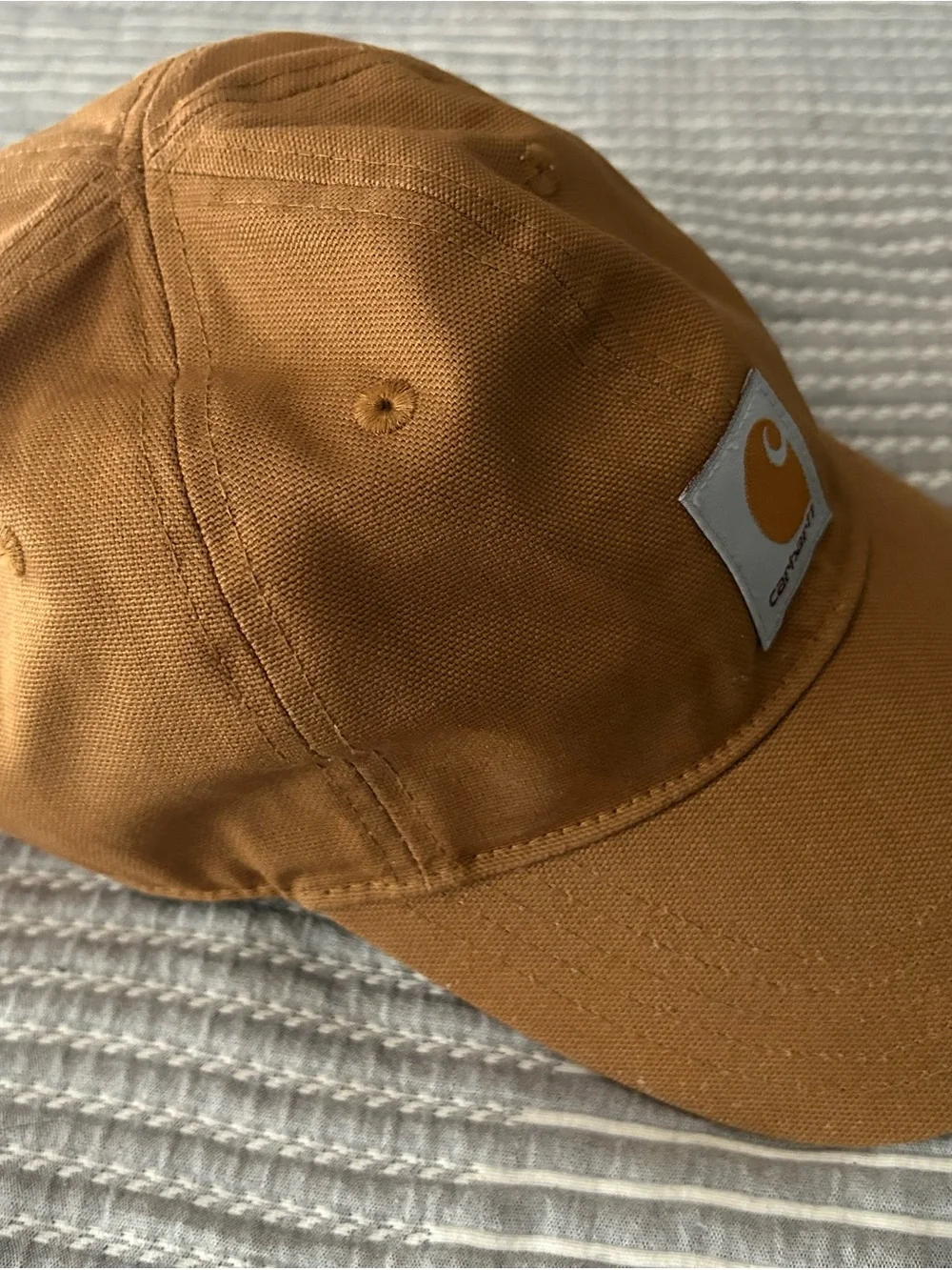 Carhartt signature canvas adjustable youth cap